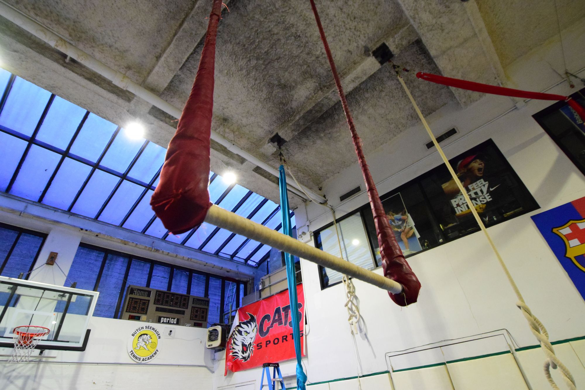 Aerial arts classes near me